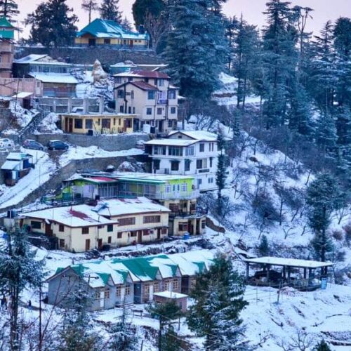 GPTI-Shimla01-5 Nights/6 Days